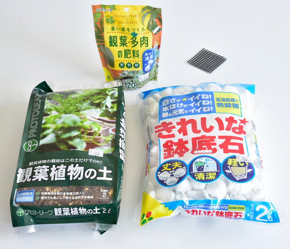 観葉植物を植え替えよう! - 名古屋園芸
