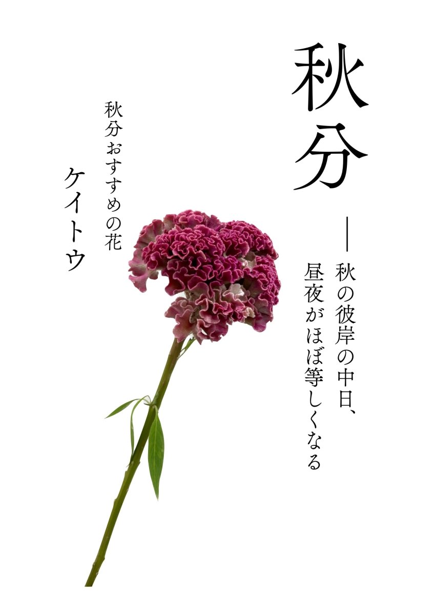 アレンジ二十四節気 -秋分- - 名古屋園芸